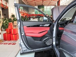 20212.0T Ԅ(dng)Ş {λ܇T