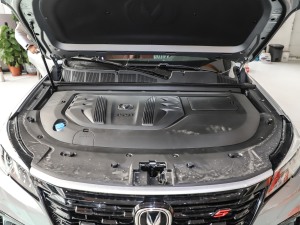 20212.0T Ԅ(dng)Ş l(f)(dng)C(j)