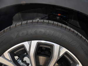 20212.0T ԄӺA ݆̥Ʒ