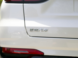 20211.5T DCTӢ (x)(ji)^