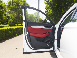 20211.5T DCTӢ {λ܇T