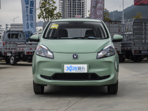 2021款国民版 多彩款 磷酸铁锂 (31.18kWh) 正前