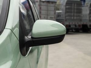 2021 ʿ F (31.18kWh) ^