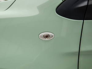 2021 ʿ F (31.18kWh) ^