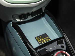 2021 ʿ F (31.18kWh) g