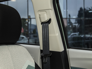 2021 ʿ F (31.18kWh) g