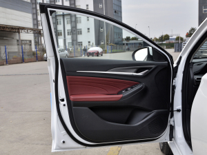 2021款PLUS 蓝鲸NE 1.4T GDI DCT旗舰型 驾驶位车门