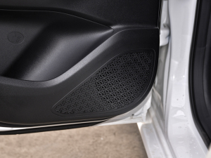 2021PLUS {LNE 1.4T GDI DCTŞ g