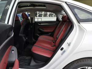 2021款PLUS 蓝鲸NE 1.4T GDI DCT旗舰型 后排空间