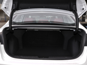 2021款PLUS 蓝鲸NE 1.4T GDI DCT旗舰型 行李厢空间