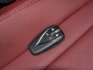 2021款PLUS 蓝鲸NE 1.4T GDI DCT旗舰型 车钥匙