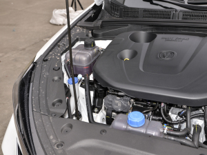 2021PLUS {LNE 1.4T GDI DCTŞ 