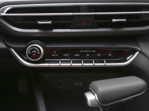 2021款PLUS 1.6L GDI CVT豪华型 空调调节