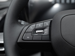 2021PLUS {LNE 1.4T GDI DCTF п؅^