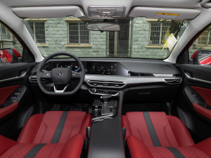 2021款PLUS 蓝鲸NE 1.4T GDI DCT尊贵型 内饰全景