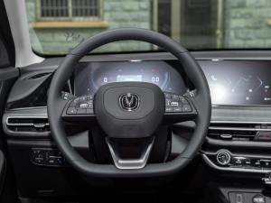 2021款PLUS 蓝鲸NE 1.4T GDI DCT尊贵型 方向盘