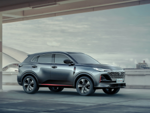 2021款蓝鲸版 1.5T DCT尊贵型 整体外观