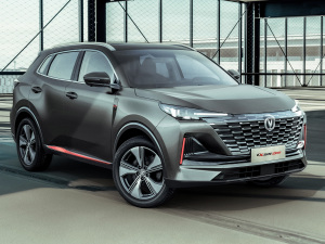 2021款蓝鲸版 1.5T DCT尊贵型 整体外观