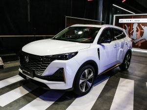 2021款蓝鲸版 1.5T DCT尊贵型 整体外观