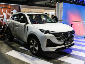 2021款蓝鲸版 1.5T DCT尊贵型 整体外观