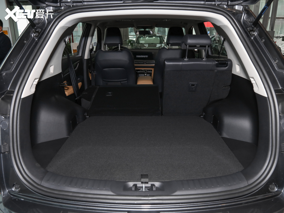 2022���L��CS55 PLUS �{�L�� 1.5T �քӺ��A��