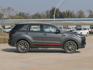 2022款蓝鲸版 1.5T DCT尊贵型 正侧（右）