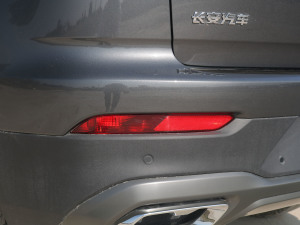 2022款蓝鲸版 1.5T DCT尊贵型 细节外观