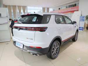 2022款蓝鲸版 1.5T DCT豪华型 右后45度