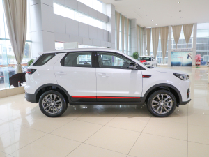 2022款蓝鲸版 1.5T DCT豪华型 正侧（右）