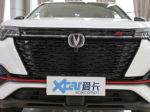 2022款蓝鲸版 1.5T DCT豪华型 中网