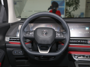 2022款蓝鲸版 1.5T DCT豪华型 方向盘