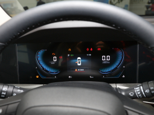 2022款蓝鲸版 1.5T DCT豪华型 仪表