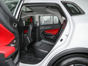 2022ڶ 1.5T DCTA ſg