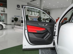 2022款第二代 1.5T DCT豪华型 驾驶位车门
