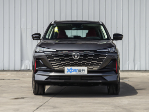 2022款第二代 1.5T DCT尊贵型 正前