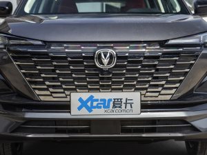 2022款第二代 1.5T DCT尊贵型 中网