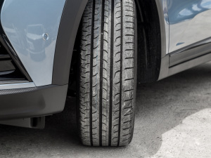 20221.5T Ş (x)(ji)^