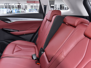 20222.0T Ԅ(dng)I(lng) g