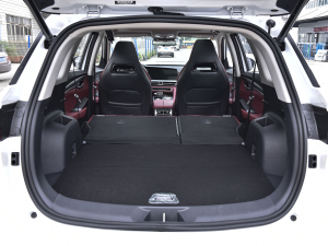 20222.0T Ԅ(dng)I(lng) g