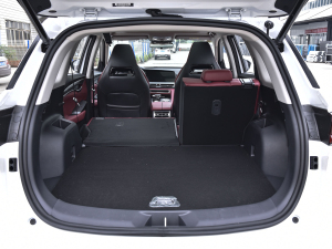 20222.0T Ԅ(dng)I(lng) g