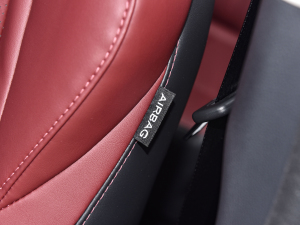 20222.0T Ԅ(dng)I(lng) п؅^(q)