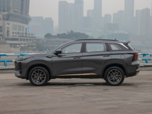 2022ڶ 2.0T Ԅ(dng)Ş (c)