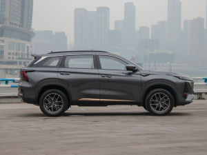 2022ڶ 2.0T Ԅ(dng)Ş (c)ң