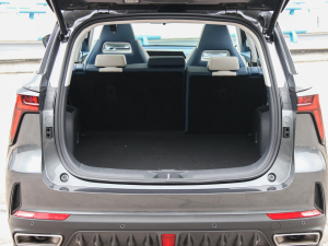 2022ڶ 2.0T Ԅ(dng)Ş g