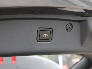 2022ڶ 2.0T Ԅ(dng)Ş g