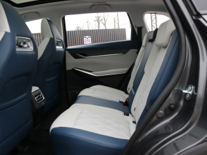 2022ڶ 2.0T Ԅ(dng)Ş ſg