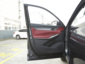 2022ڶ 2.0T ԄF {λ܇T