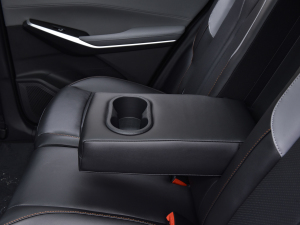 2022ڶ 2.0T Ԅ(dng)I(lng) 