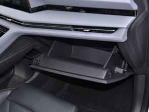 2022ڶ 2.0T Ԅ(dng)I(lng) 