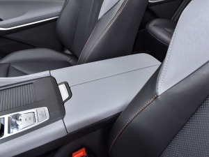 2022ڶ 2.0T Ԅ(dng)I(lng) 